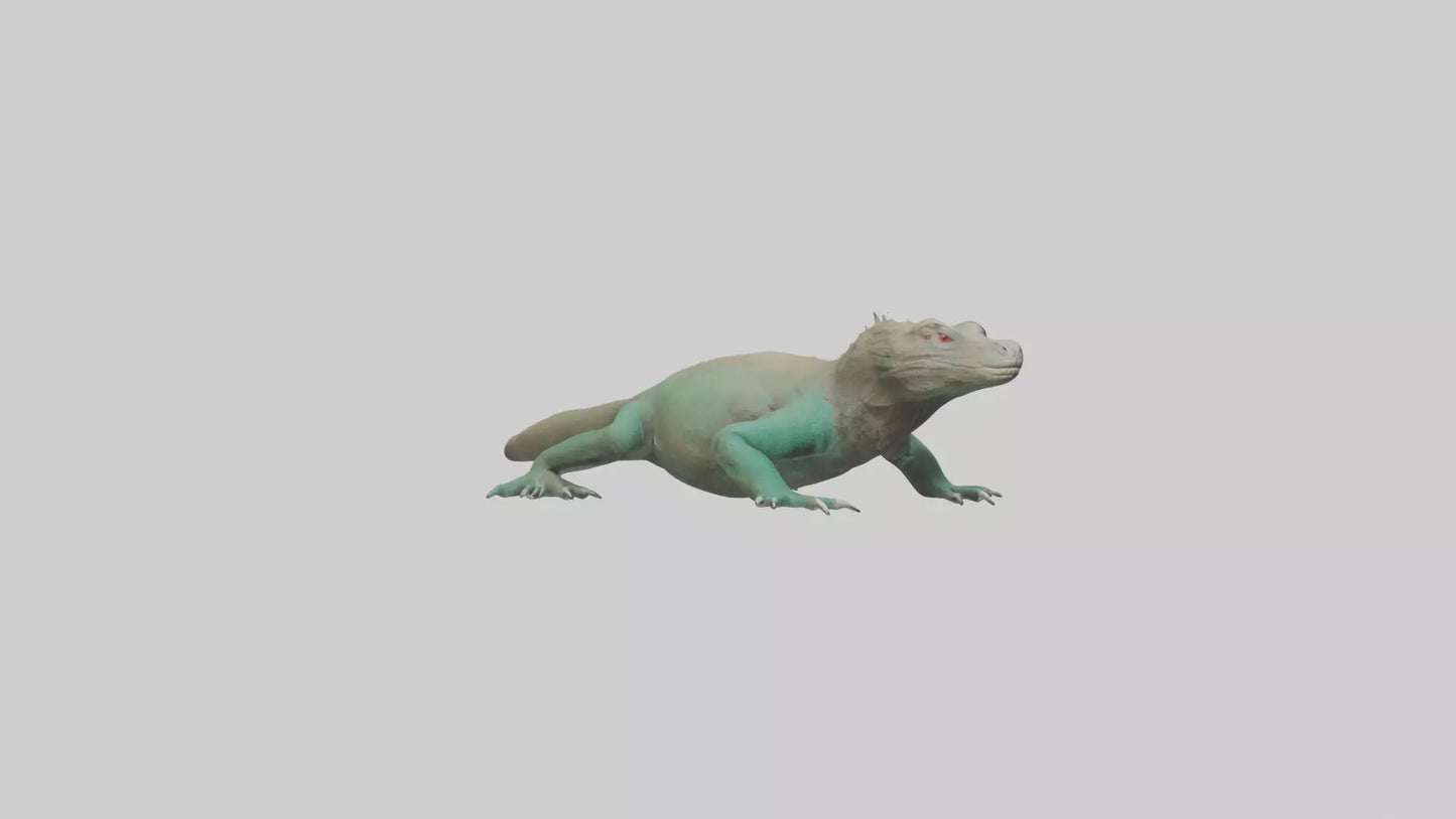 3D model Komodo Dragon resting model VR / AR / low-poly