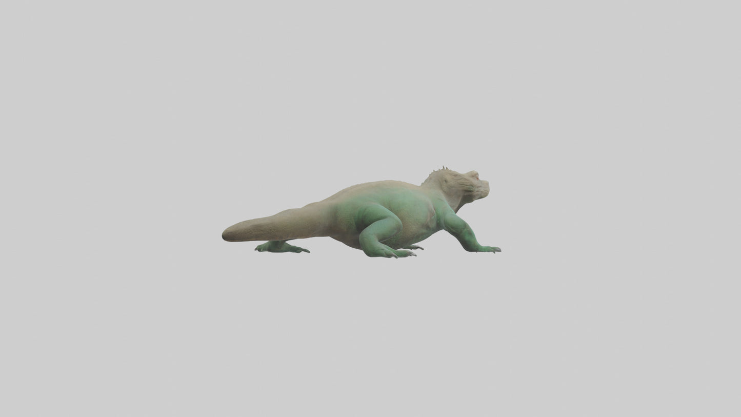 3D model Komodo Dragon resting model VR / AR / low-poly
