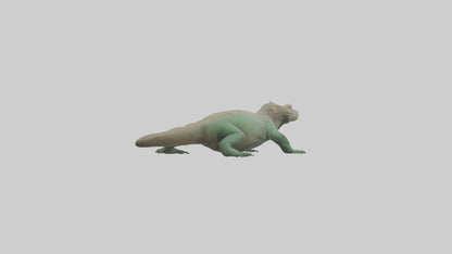 3D model Komodo Dragon resting model VR / AR / low-poly