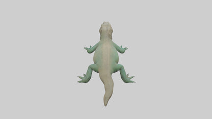 3D model Komodo Dragon resting model VR / AR / low-poly