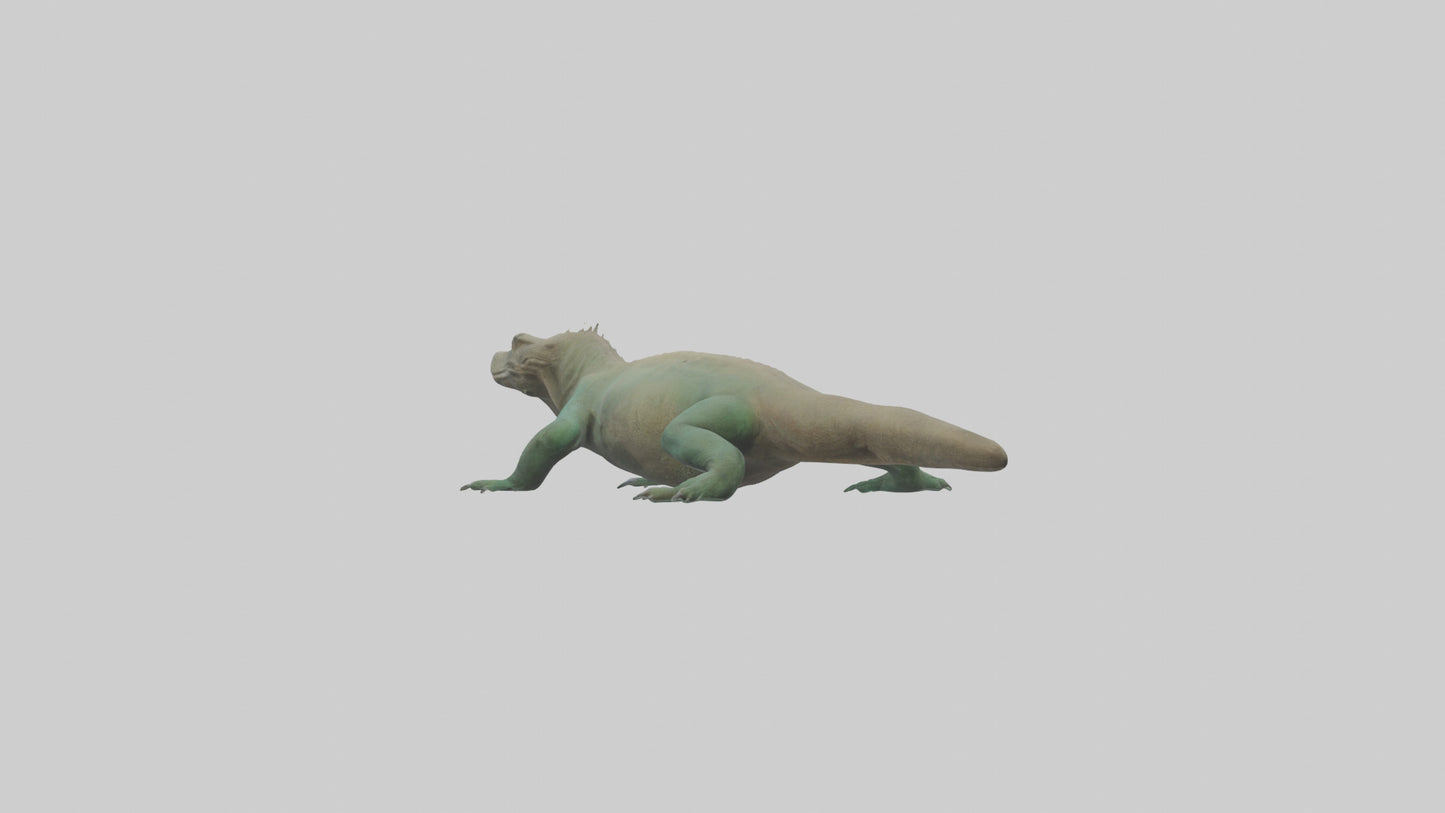 3D model Komodo Dragon resting model VR / AR / low-poly
