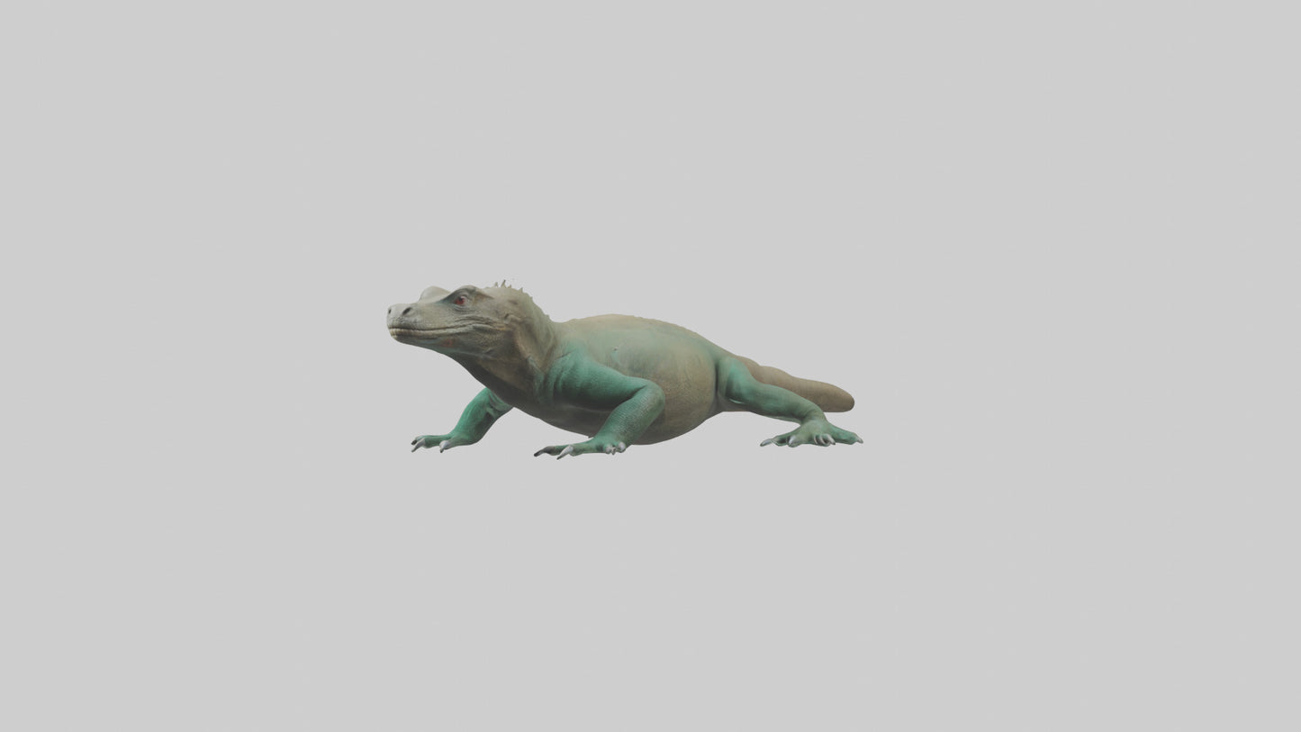 3D model Komodo Dragon resting model VR / AR / low-poly