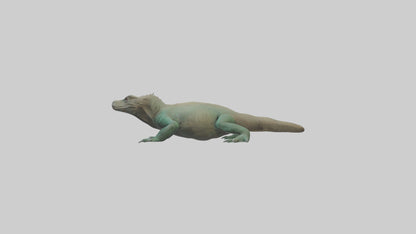 3D model Komodo Dragon resting model VR / AR / low-poly