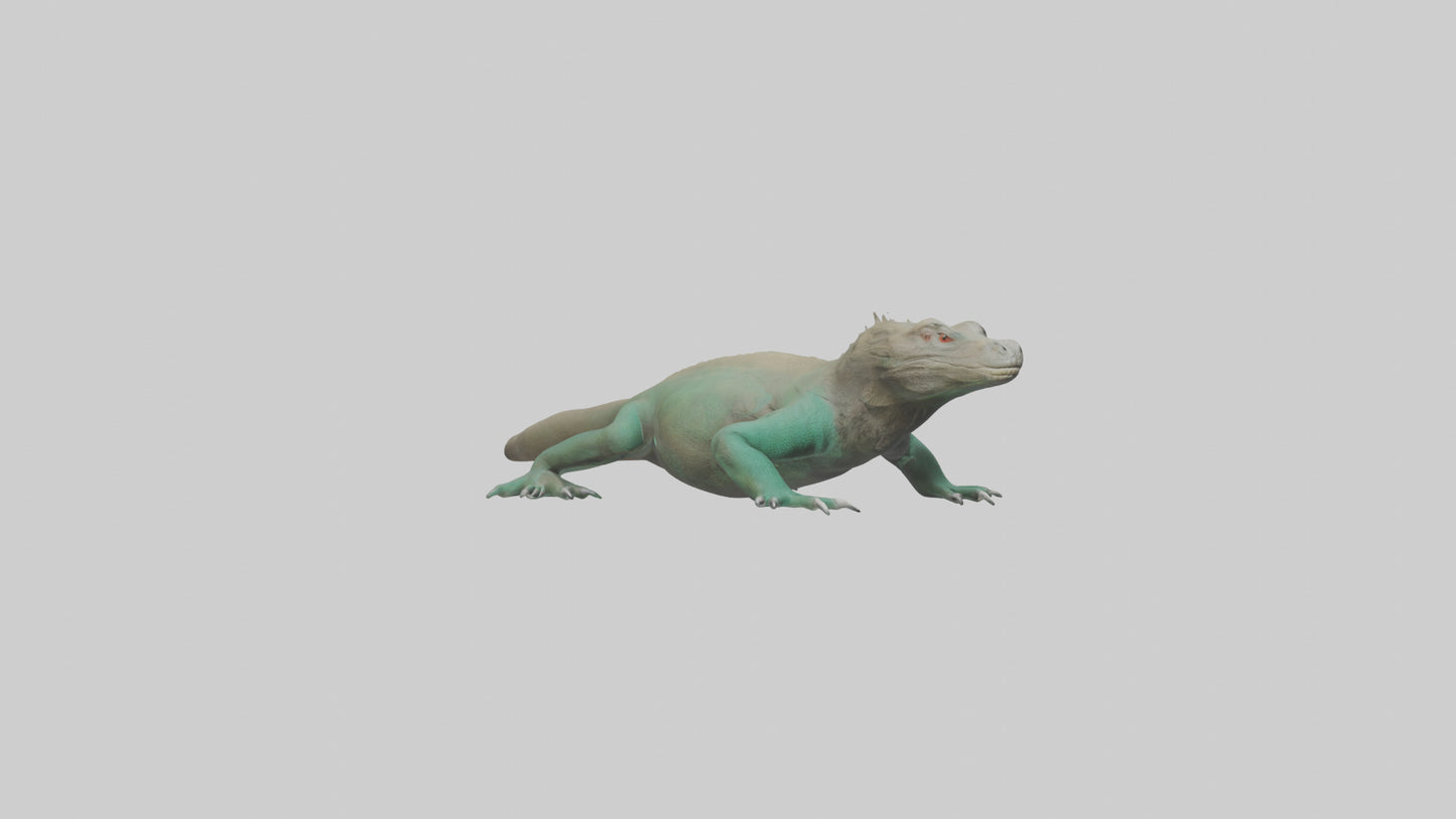 3D model Komodo Dragon resting model VR / AR / low-poly