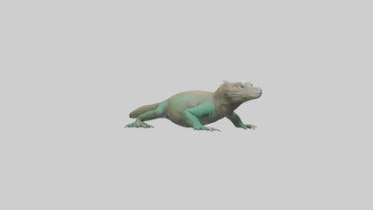 3D model Komodo Dragon resting model VR / AR / low-poly
