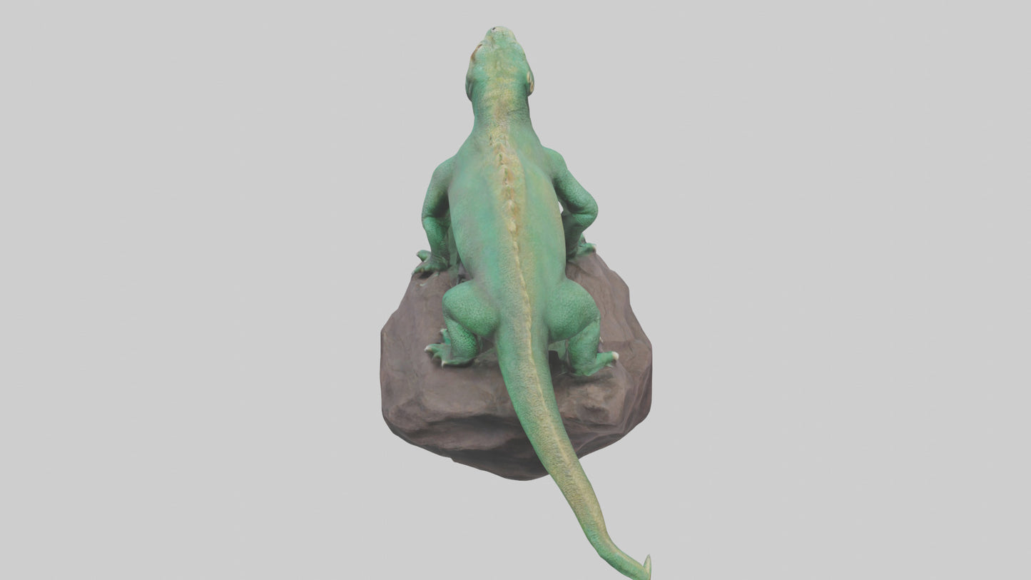 3D model Komodo Dragon statue model VR / AR / low-poly