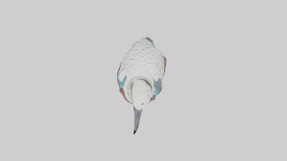 3D model Kookaburra statue model VR / AR / low-poly