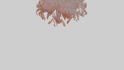 3D model Krill swarming model 2 VR / AR / low-poly