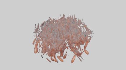 3D model Krill swarming model 2 VR / AR / low-poly