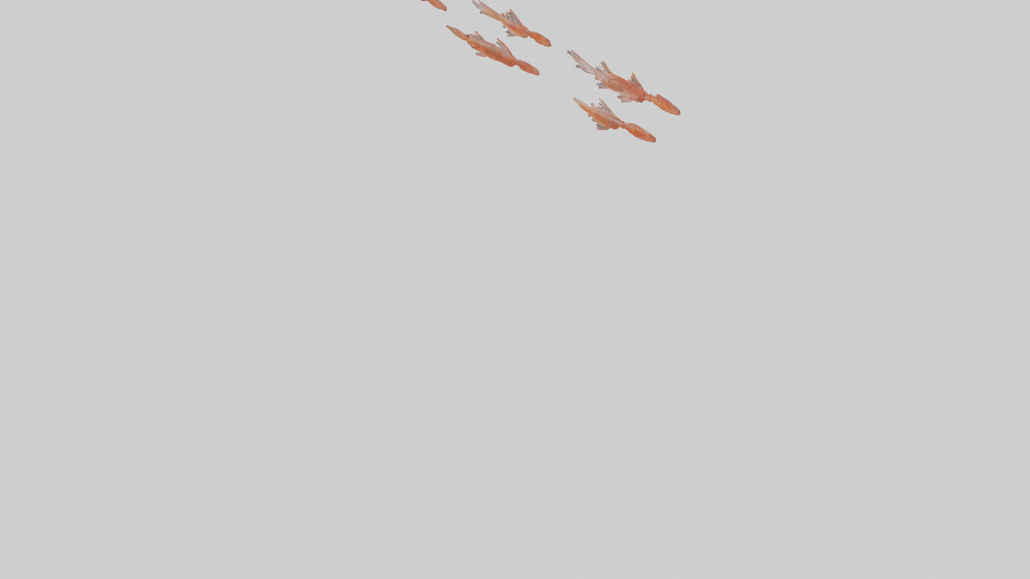 3D model Krill swarming model VR / AR / low-poly