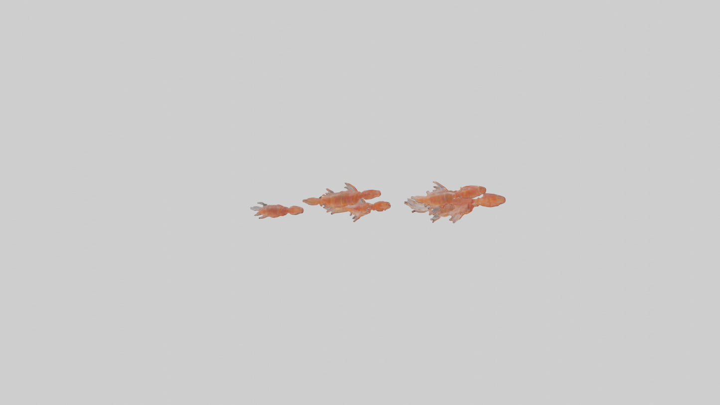 3D model Krill swarming model VR / AR / low-poly
