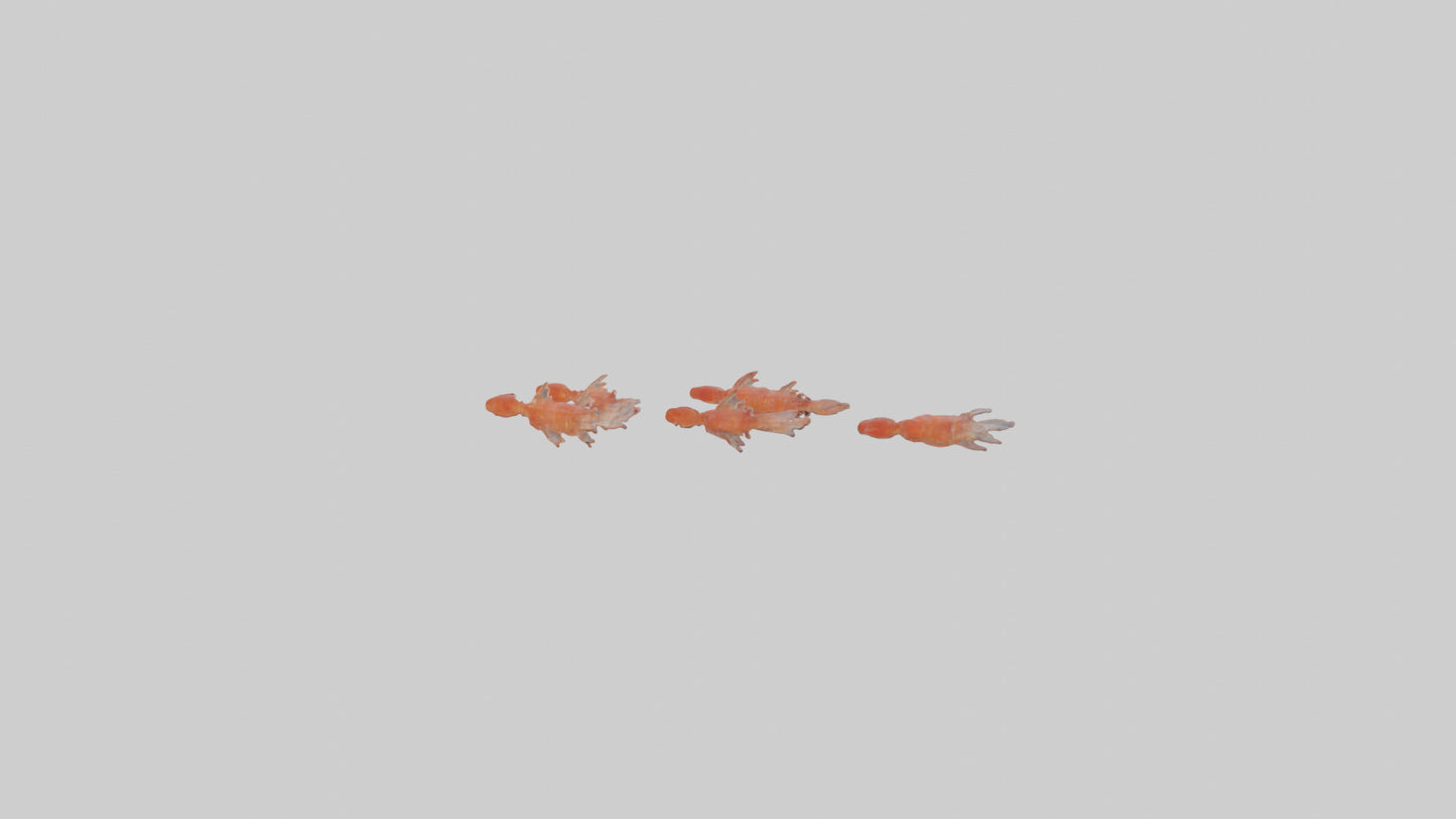 3D model Krill swarming model VR / AR / low-poly