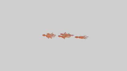 3D model Krill swarming model VR / AR / low-poly