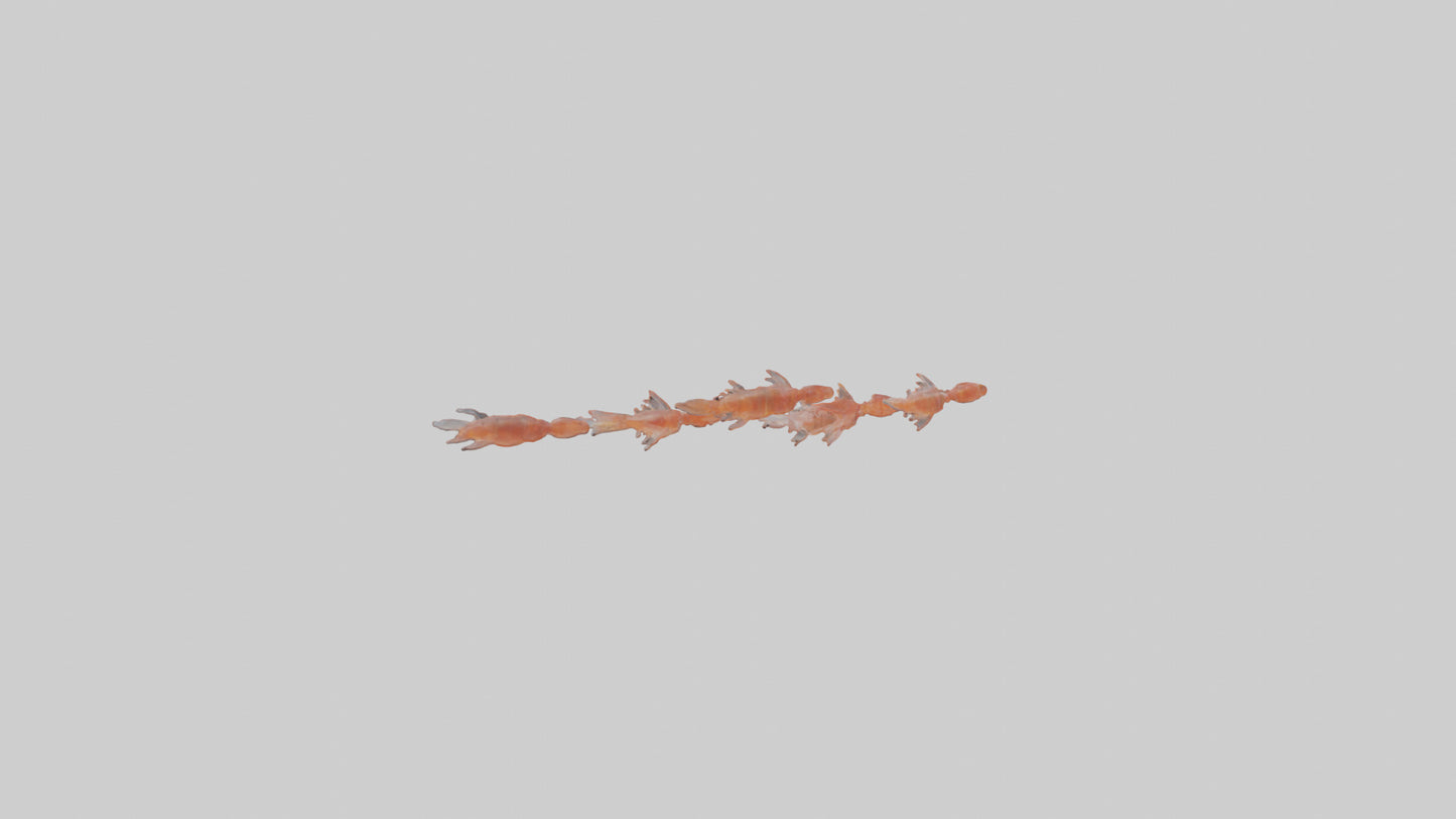 3D model Krill swarming model VR / AR / low-poly