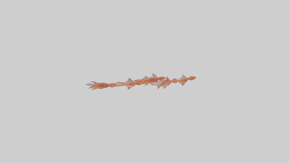 3D model Krill swarming model VR / AR / low-poly