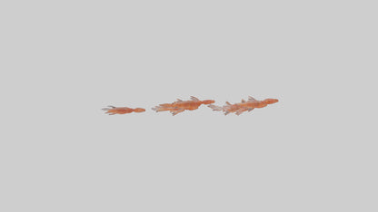3D model Krill swarming model VR / AR / low-poly