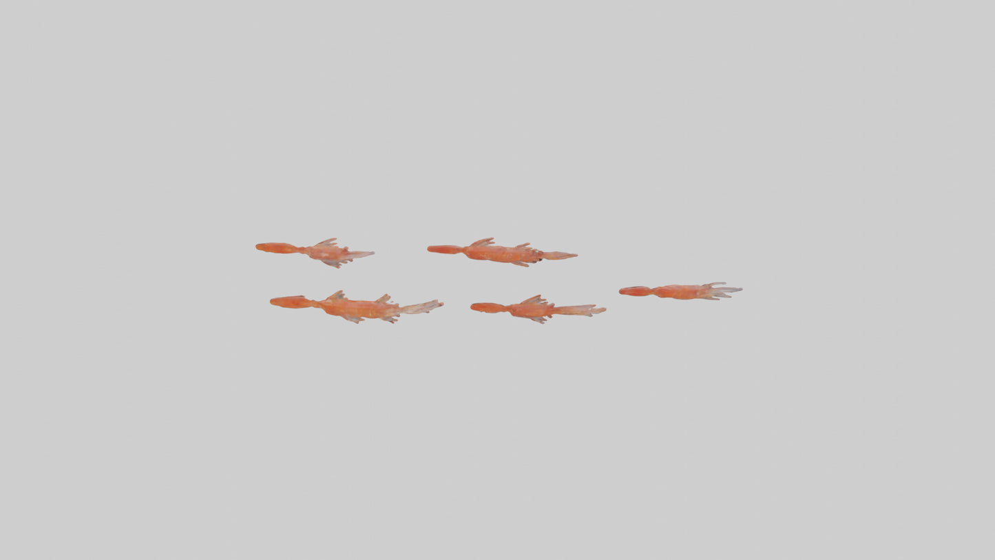 3D model Krill swarming model VR / AR / low-poly