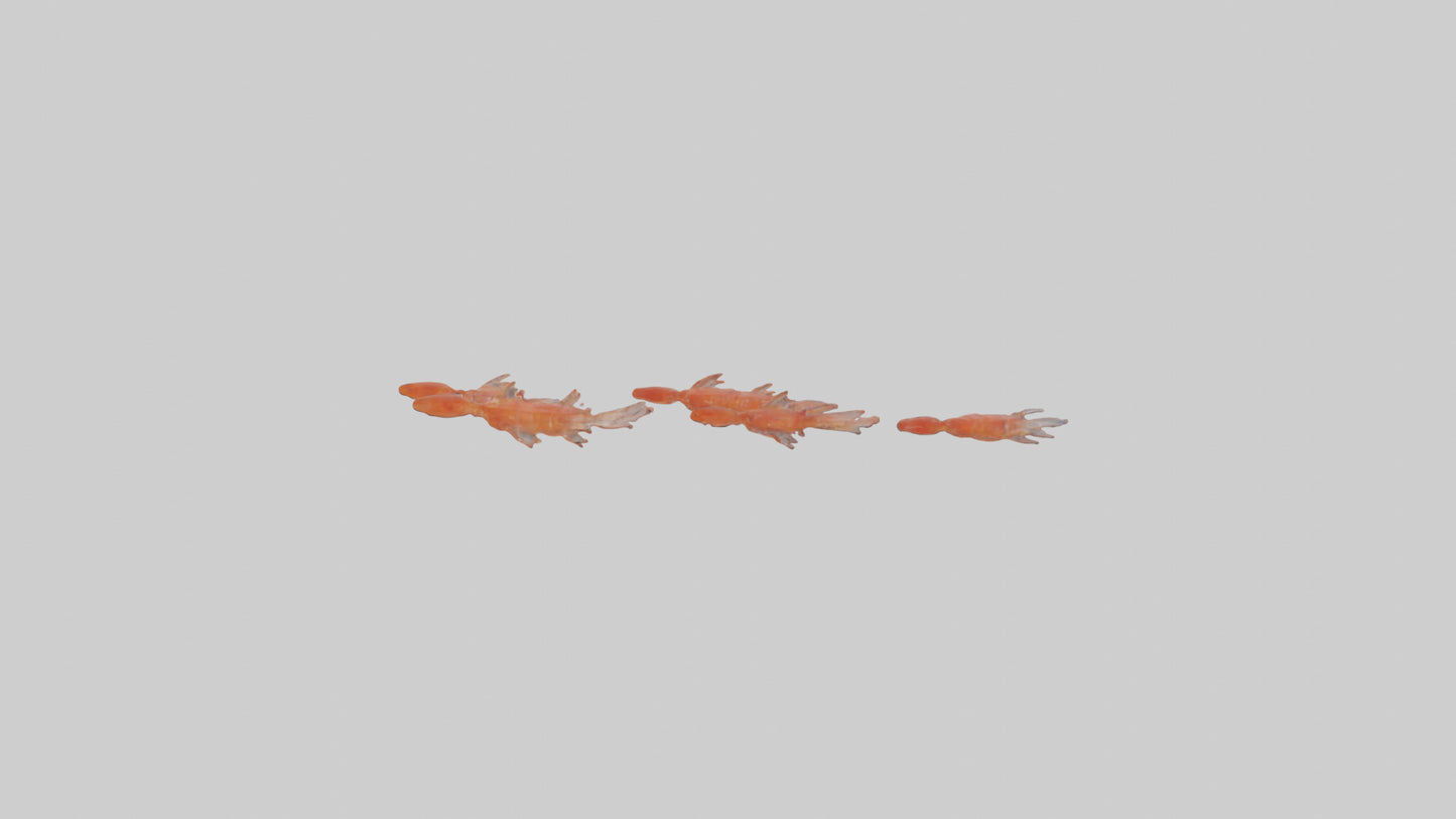 3D model Krill swarming model VR / AR / low-poly
