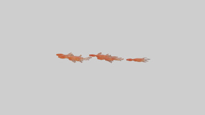 3D model Krill swarming model VR / AR / low-poly