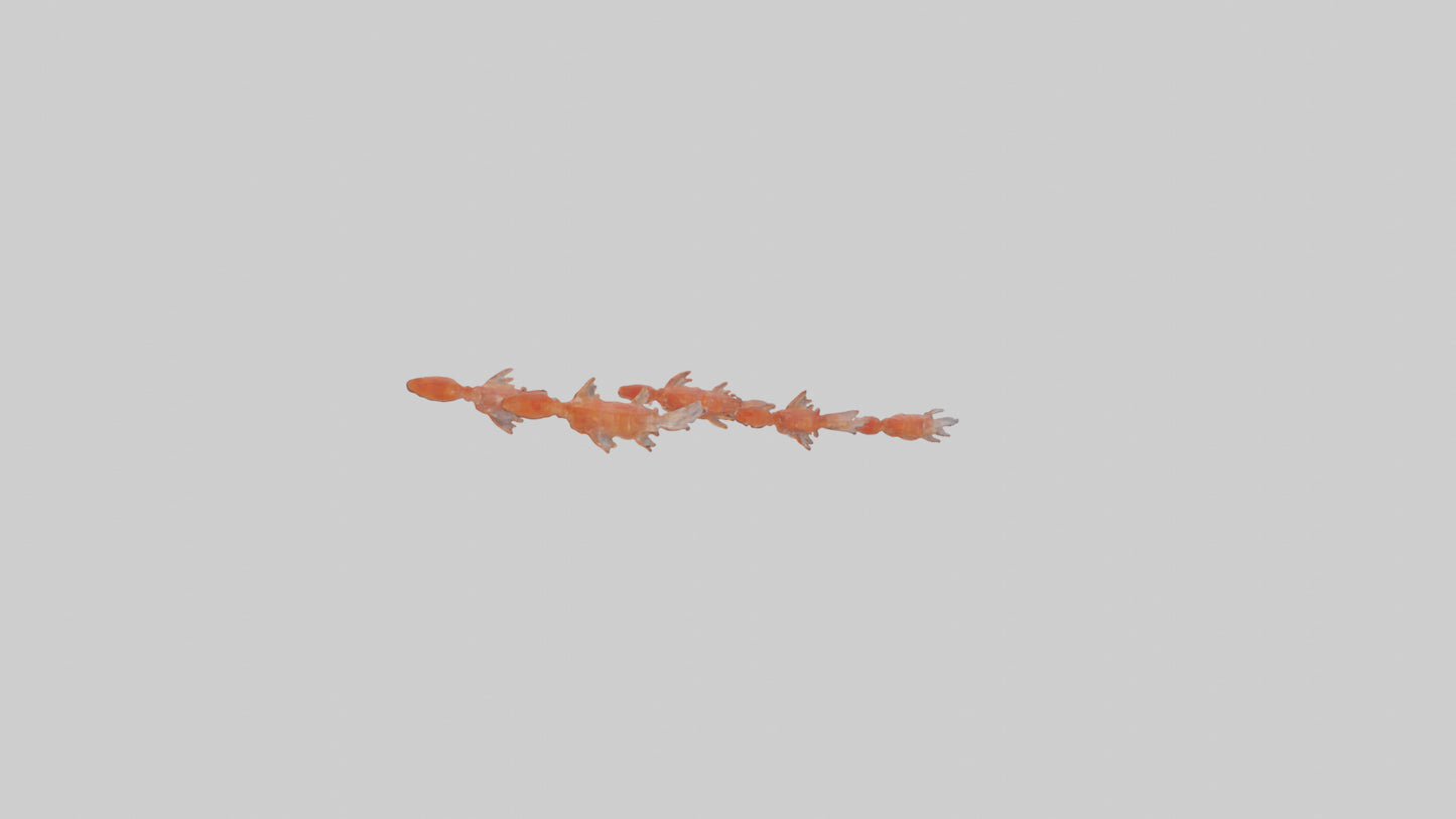 3D model Krill swarming model VR / AR / low-poly