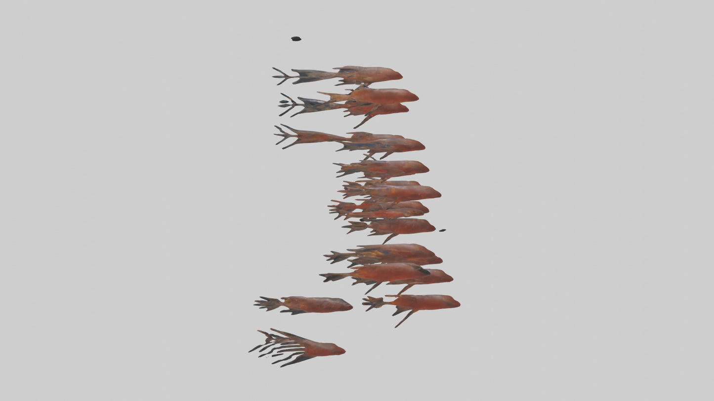 3D model Krill swimming in swarm model VR / AR / low-poly