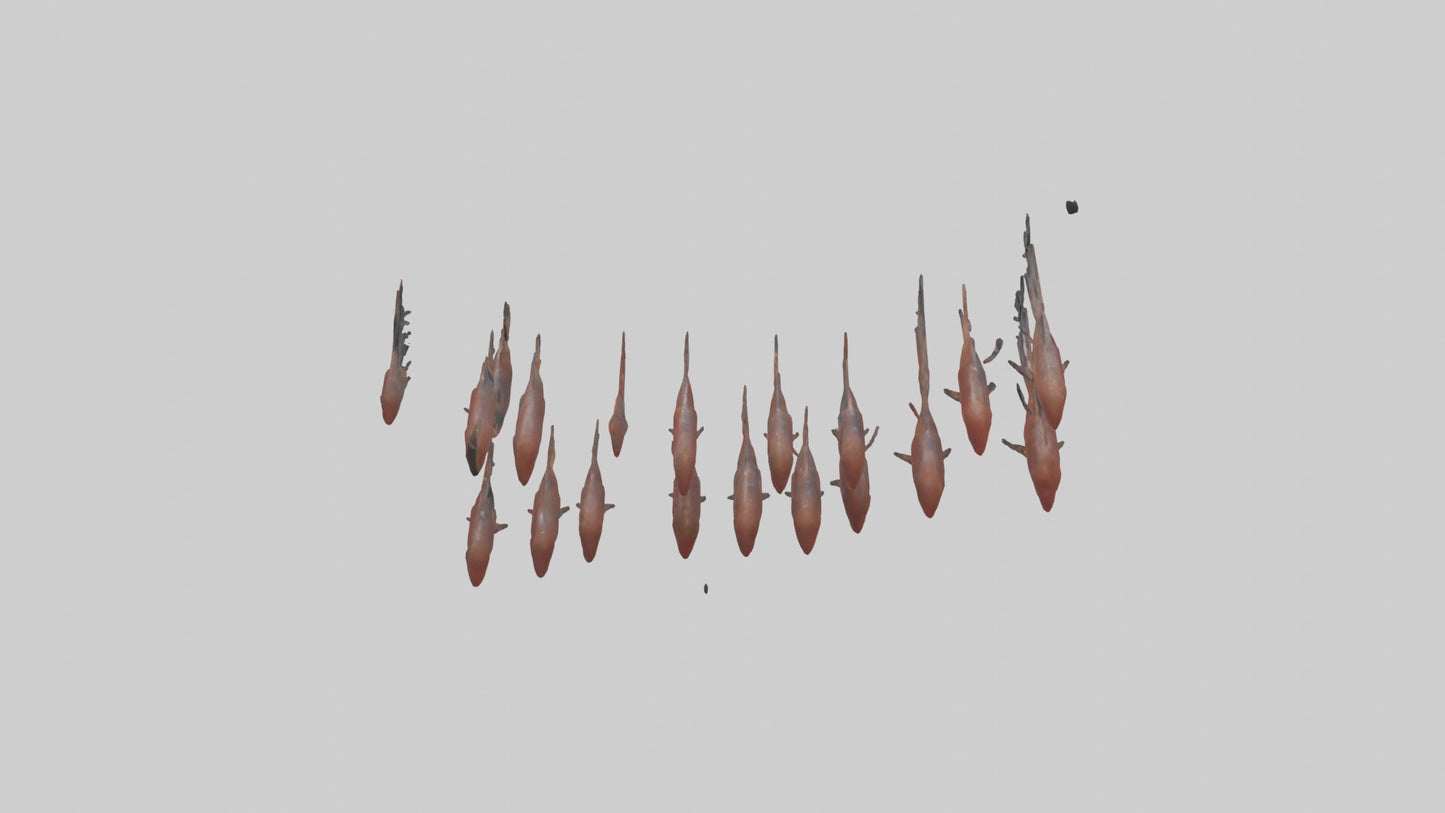 3D model Krill swimming in swarm model VR / AR / low-poly