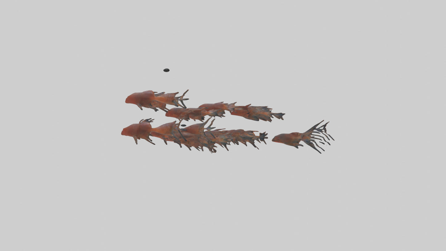 3D model Krill swimming in swarm model VR / AR / low-poly