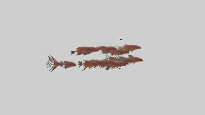 3D model Krill swimming in swarm model VR / AR / low-poly