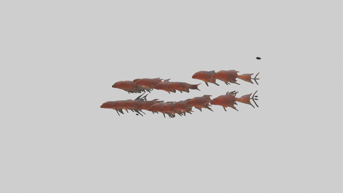 3D model Krill swimming in swarm model VR / AR / low-poly