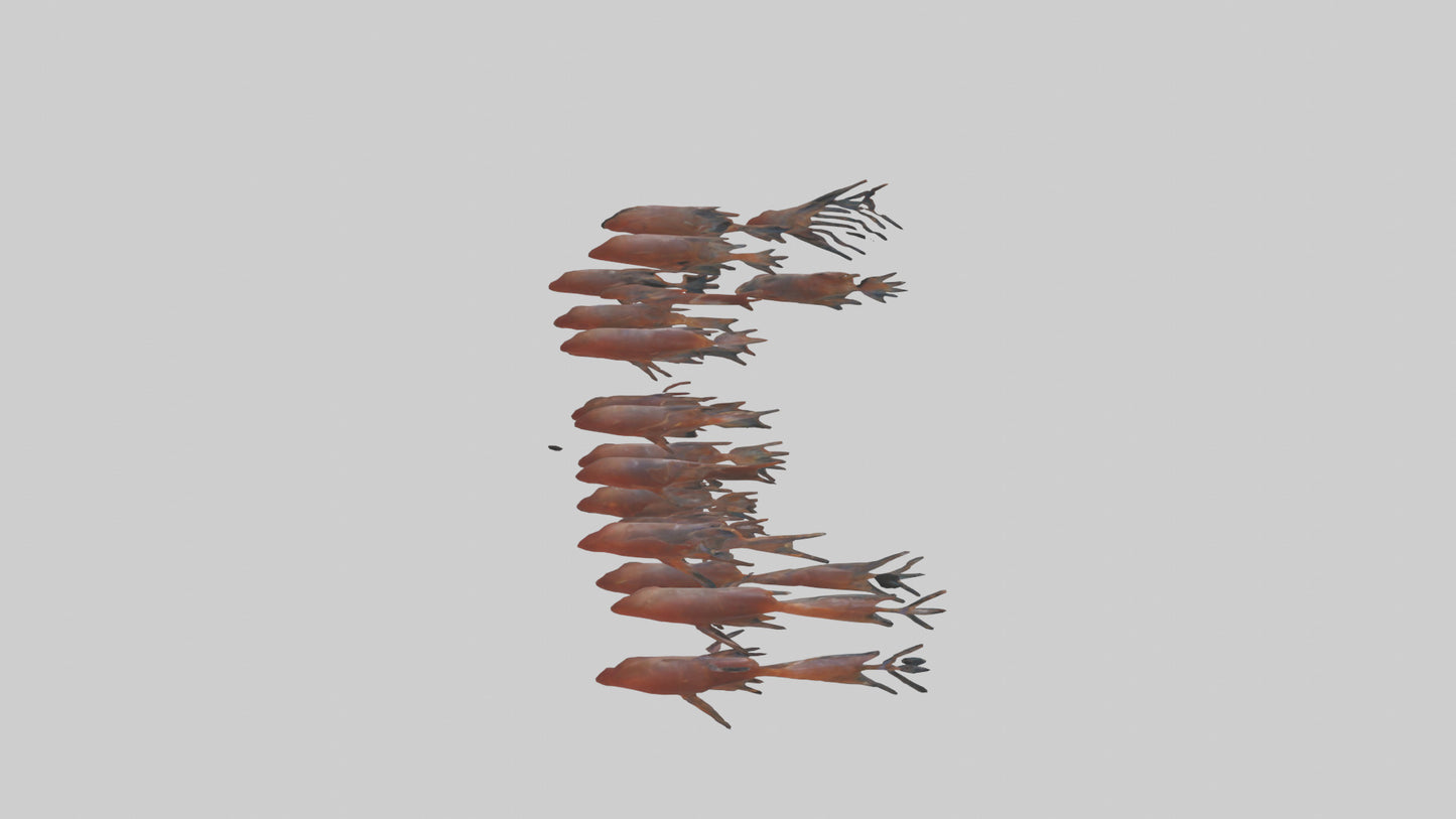 3D model Krill swimming in swarm model VR / AR / low-poly