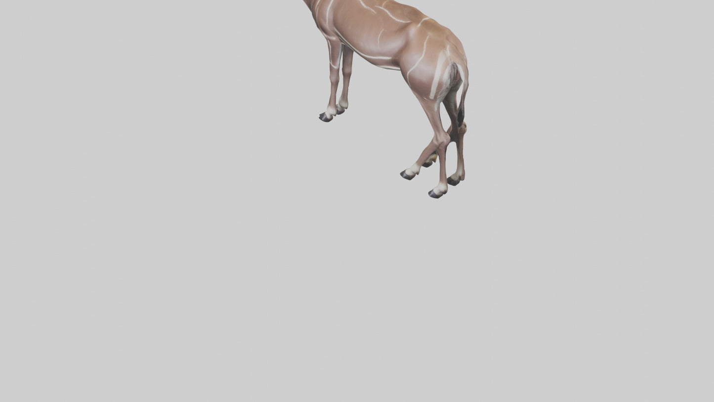3D model Kudu grazing model VR / AR / low-poly