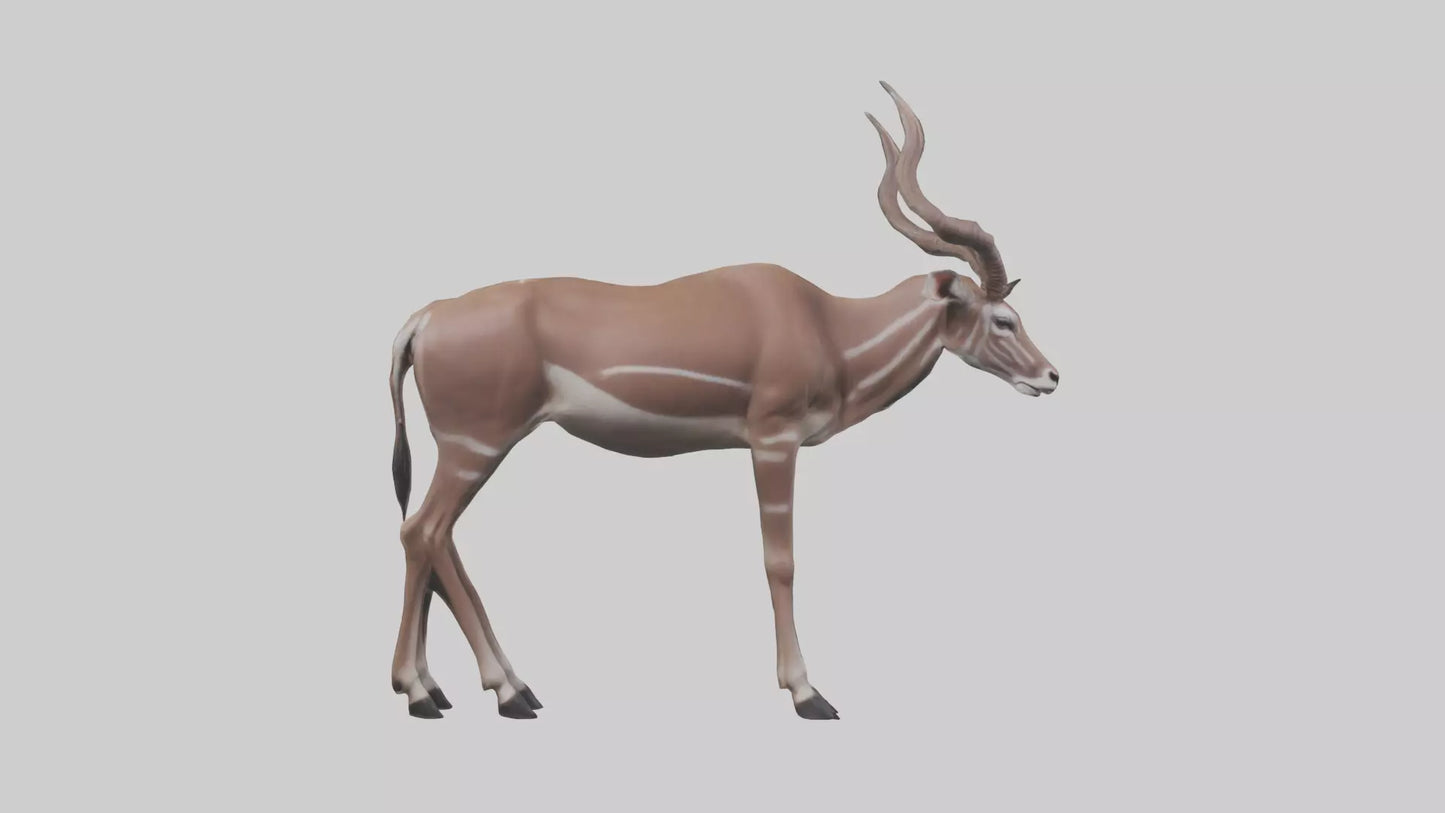 3D model Kudu grazing model VR / AR / low-poly