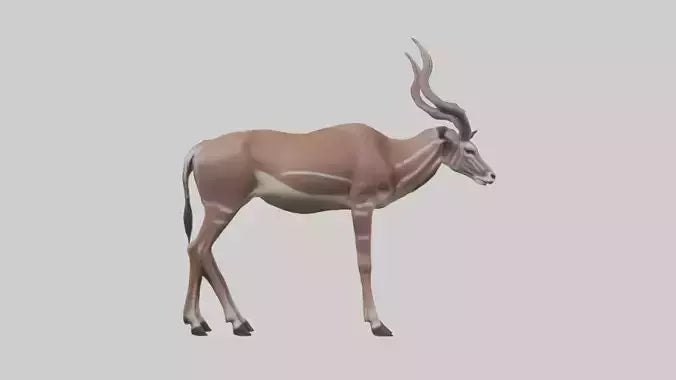 3D model Kudu grazing model VR / AR / low-poly