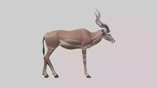 3D model Kudu grazing model VR / AR / low-poly
