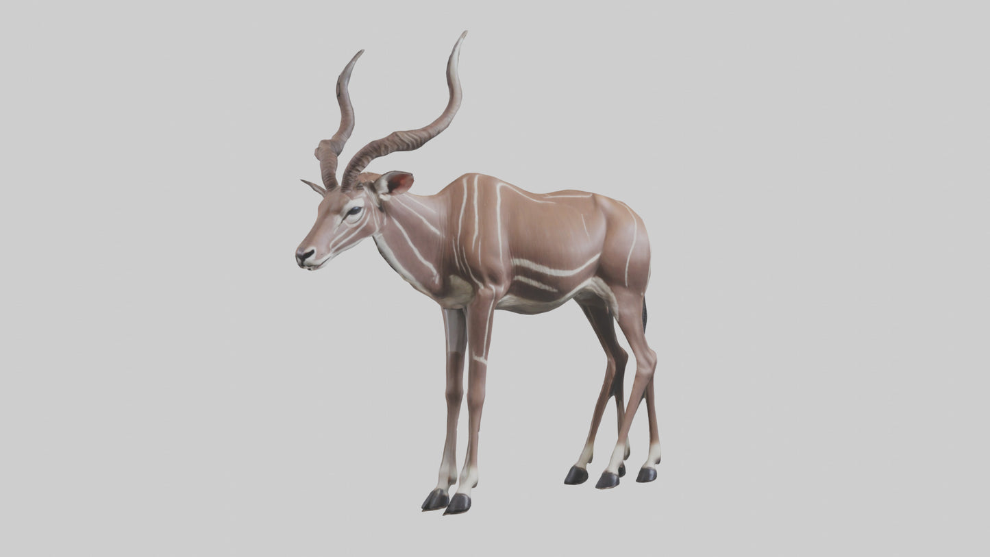 3D model Kudu grazing model VR / AR / low-poly