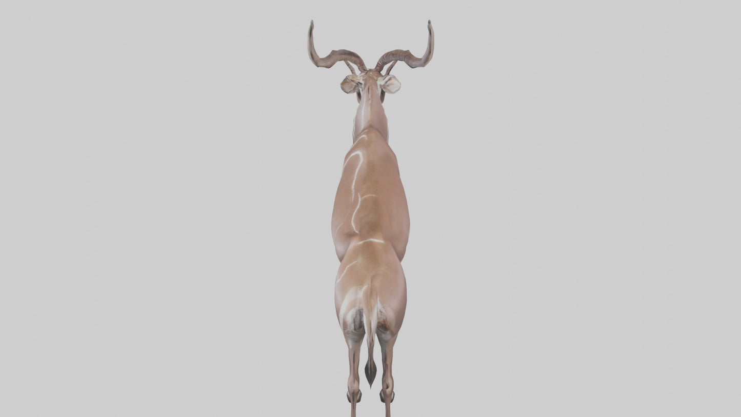 3D model Kudu grazing model VR / AR / low-poly