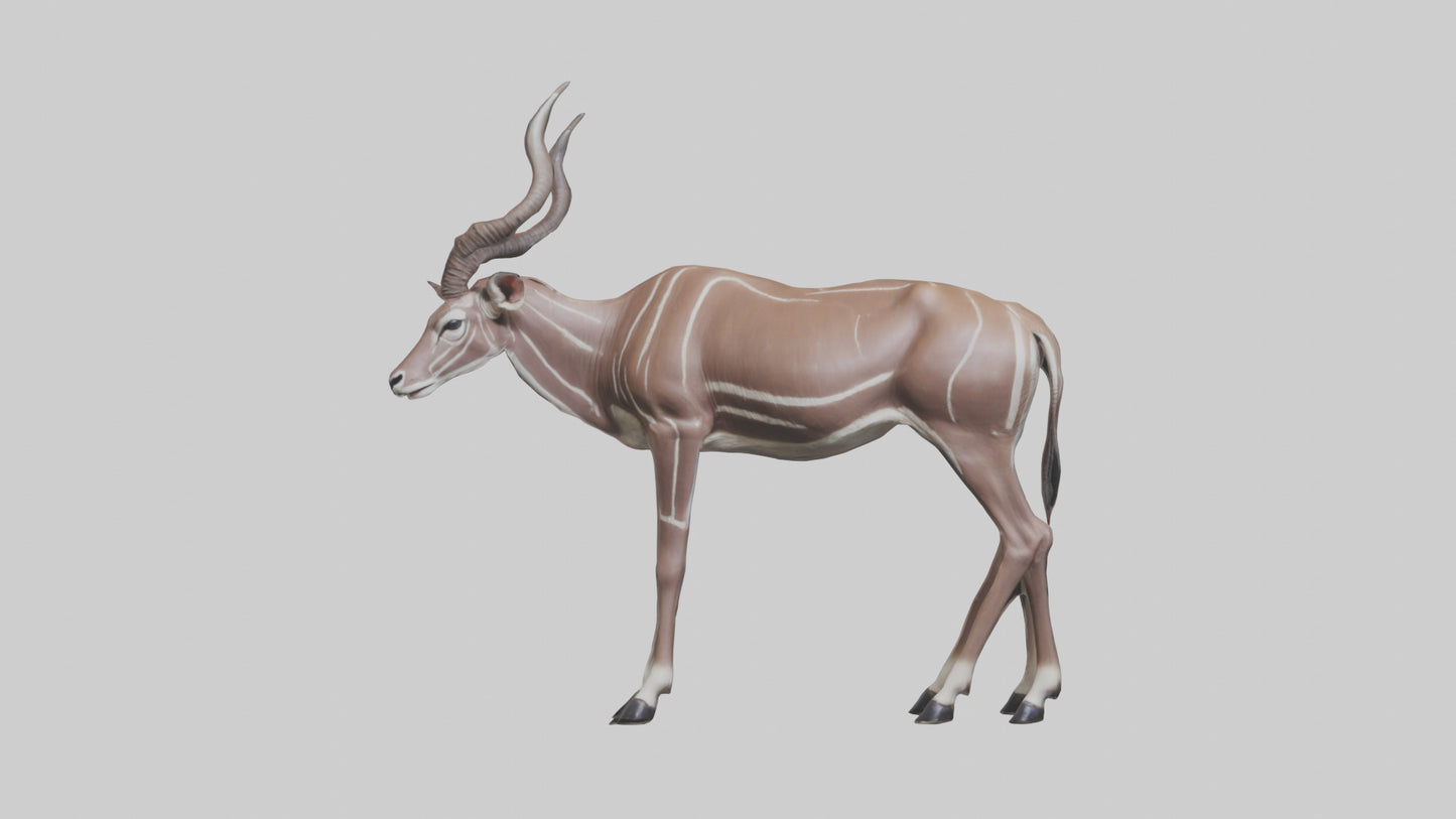 3D model Kudu grazing model VR / AR / low-poly