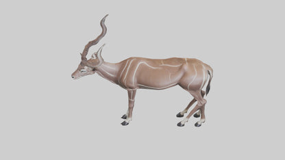3D model Kudu grazing model VR / AR / low-poly