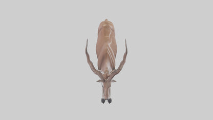 3D model Kudu grazing model VR / AR / low-poly