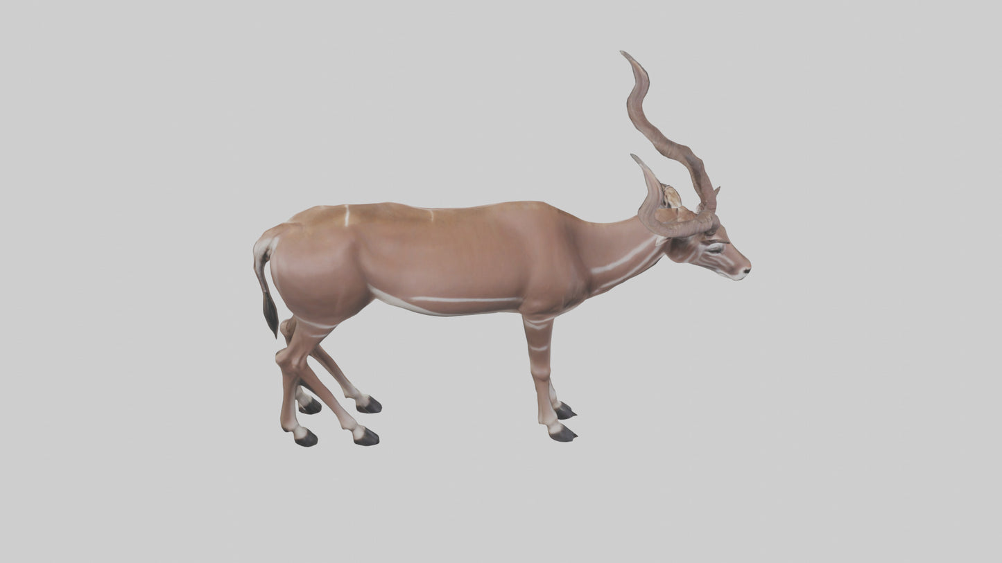 3D model Kudu grazing model VR / AR / low-poly