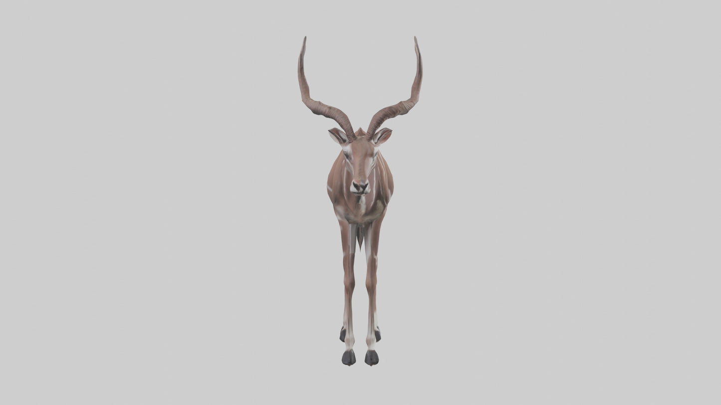 3D model Kudu grazing model VR / AR / low-poly