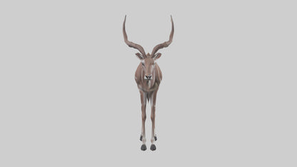3D model Kudu grazing model VR / AR / low-poly