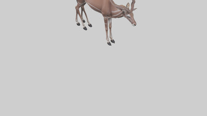 3D model Kudu grazing model VR / AR / low-poly