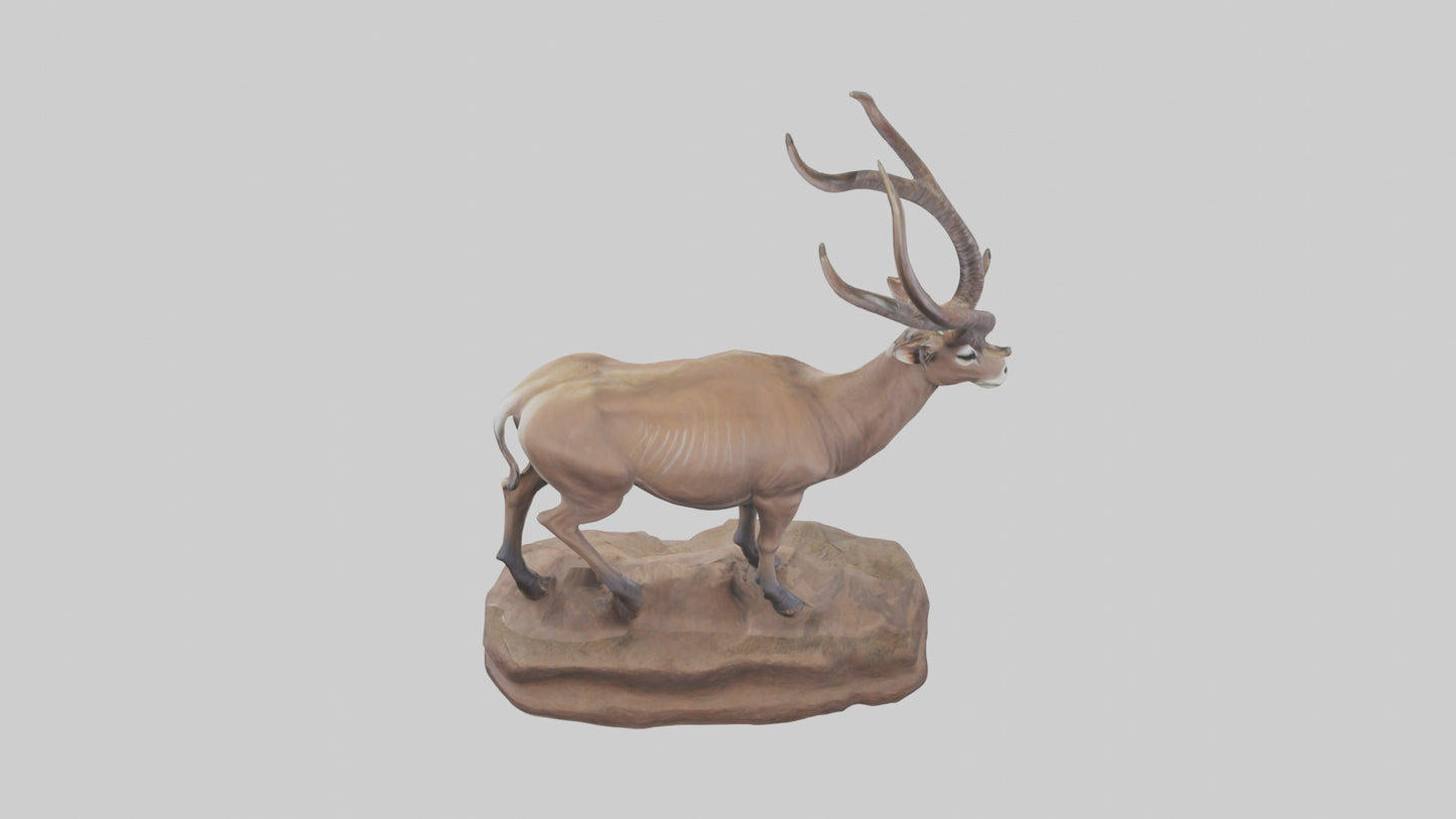 3D model Kudu statue model VR / AR / low-poly