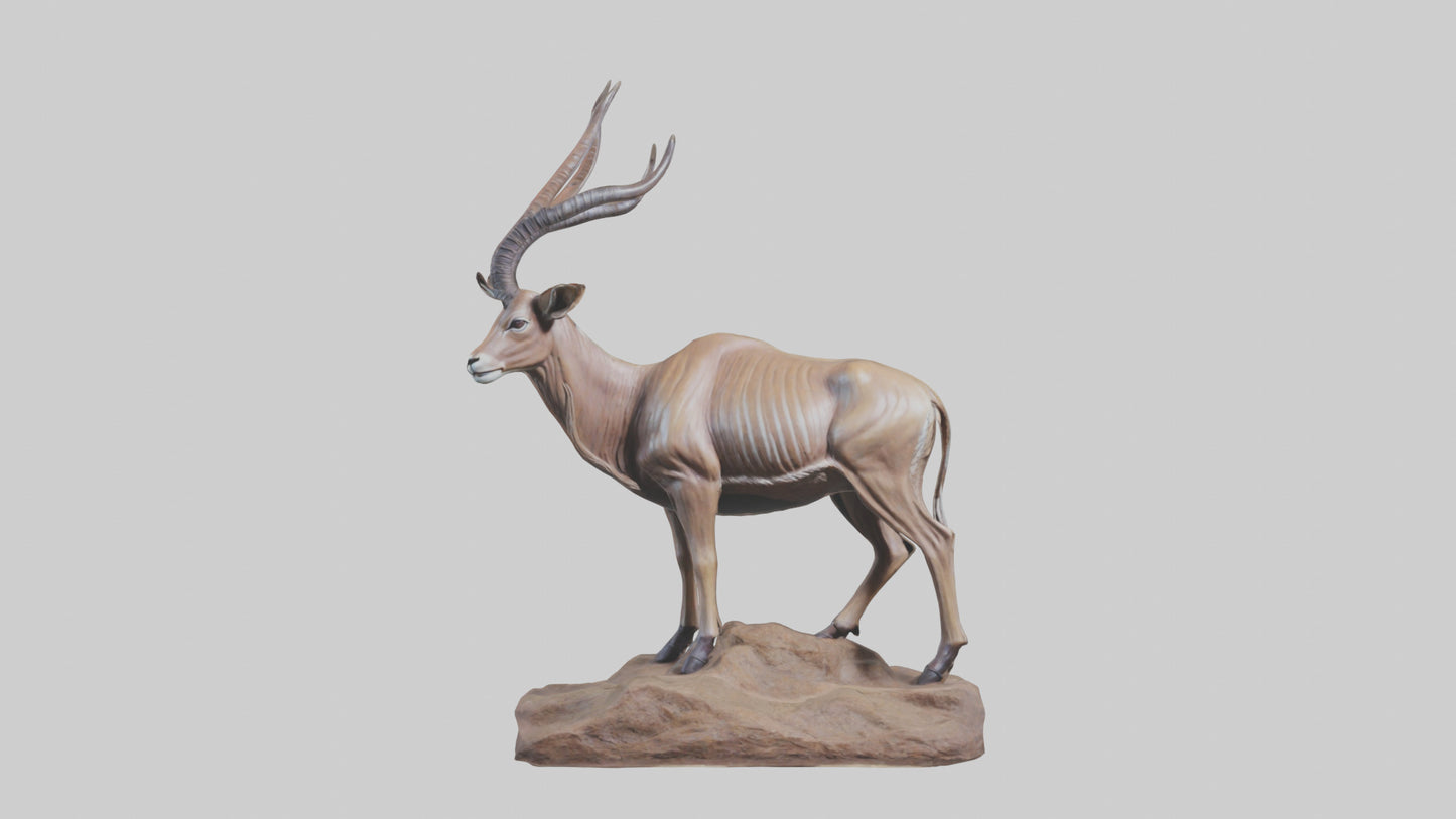 3D model Kudu statue model VR / AR / low-poly