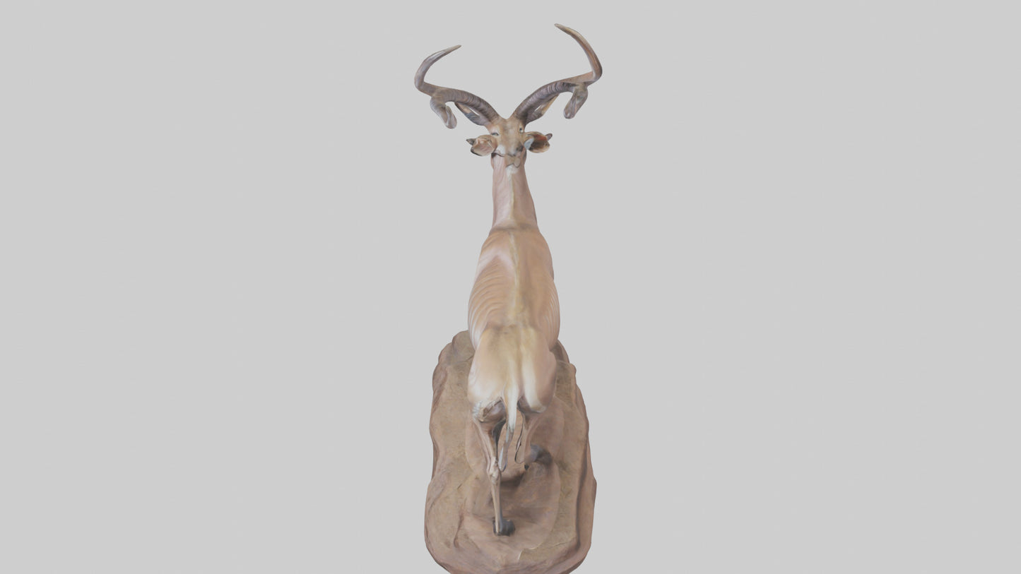 3D model Kudu statue model VR / AR / low-poly