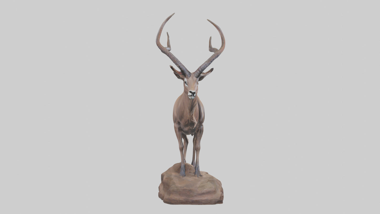 3D model Kudu statue model VR / AR / low-poly