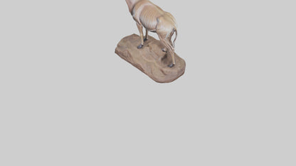 3D model Kudu statue model VR / AR / low-poly