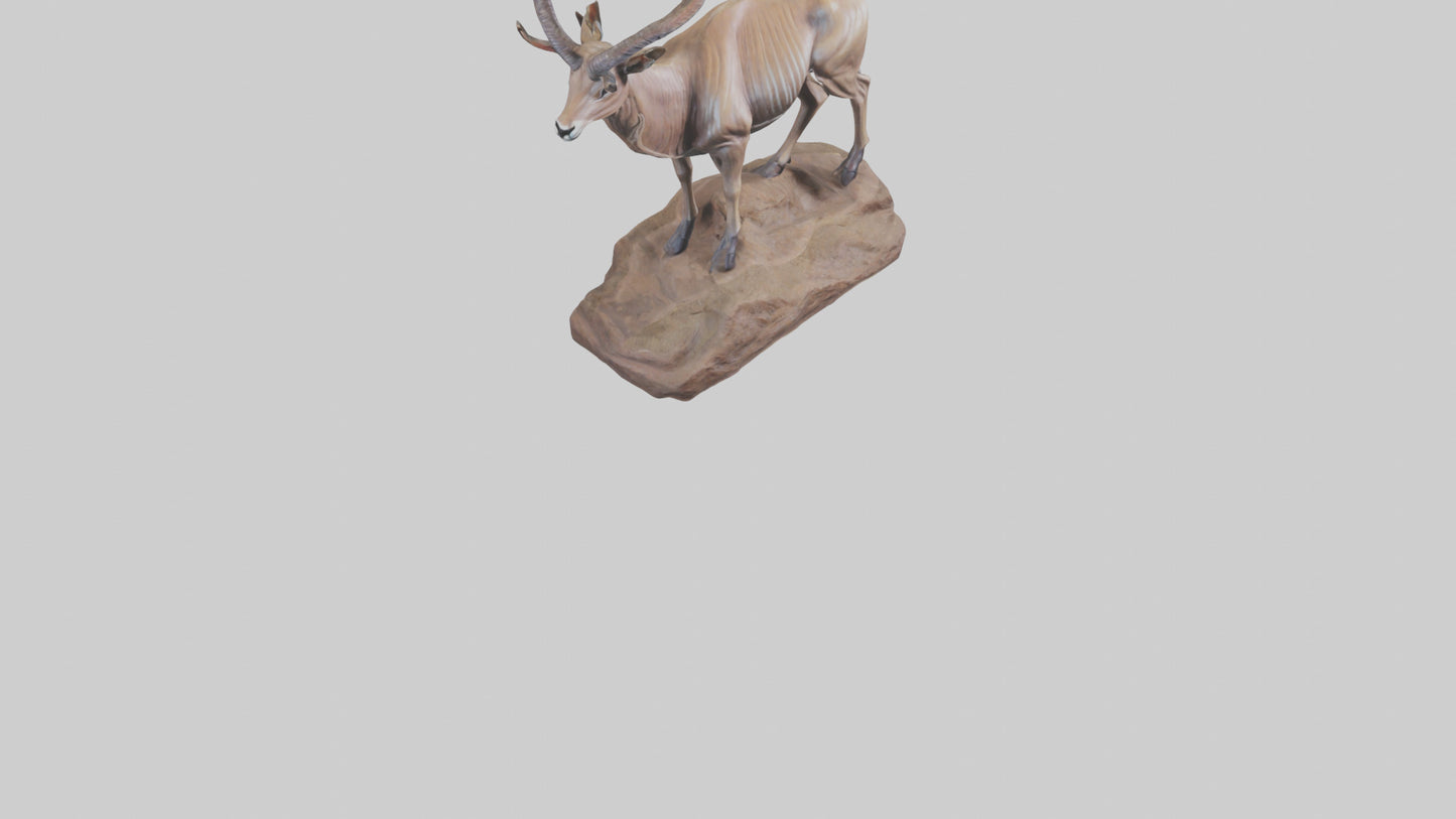 3D model Kudu statue model VR / AR / low-poly