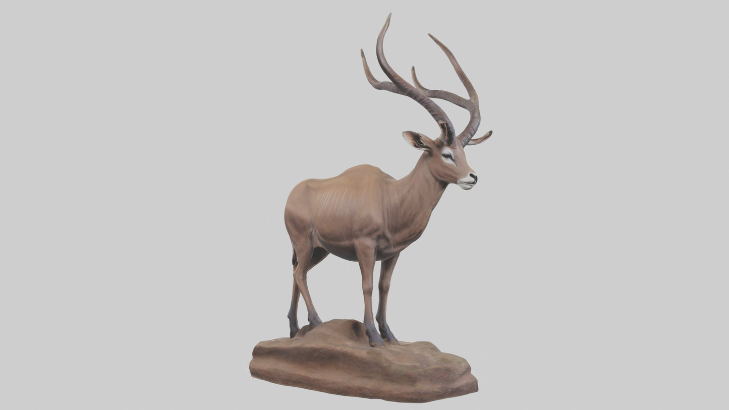 3D model Kudu statue model VR / AR / low-poly